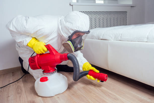 Best Flea Control Services  in Linden, NJ