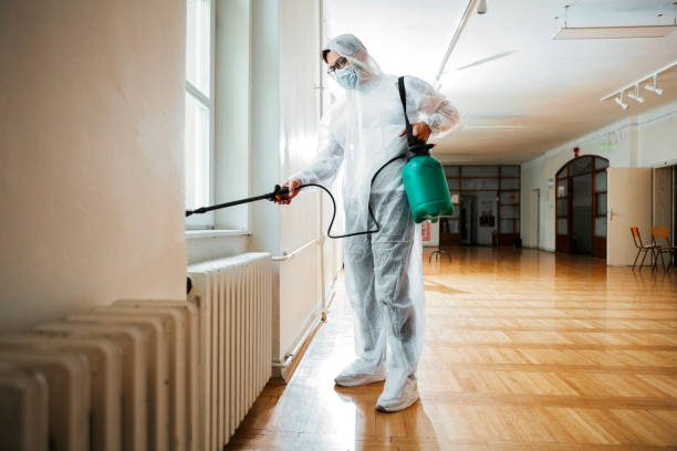 Best Termite Control Services  in Linden, NJ